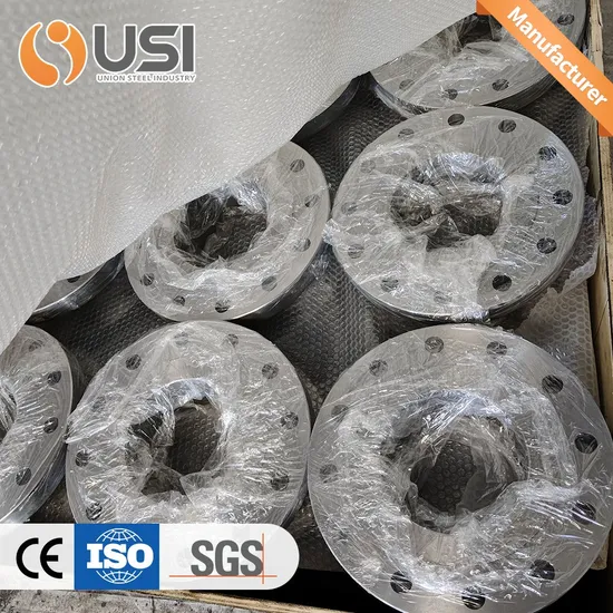 Slip on Plate Flanges Flat Plain Welding Carbon Steel Stainless Steel Blind Flange Welding Neck Flange (WN)